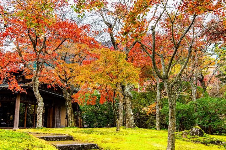 🏞️ 흰 구름의 연못 (시라쿠모노이케) 이미지 1